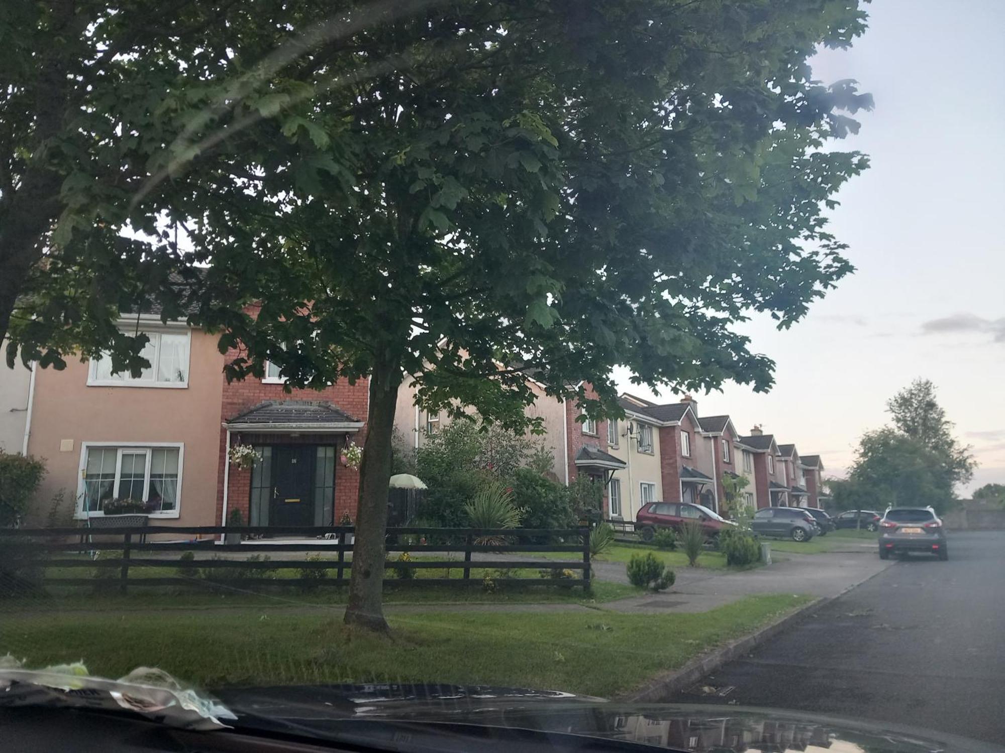 Sycamore Place Carrick-on-Suir Εξωτερικό φωτογραφία